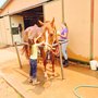Photo of Horse Mesa Ranch
