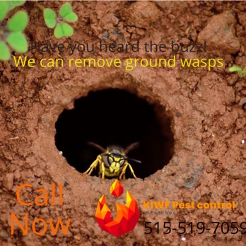 KIWF Pest Control - Pest Control Near Me - Altoona, Iowa KIWF Pest Control - Pest Control Near Me - Altoona, Iowa