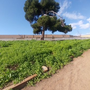 Bartlett Park - Parks Near Me - Huntington Beach, California Bartlett Park - Parks Near Me - Huntington Beach, California