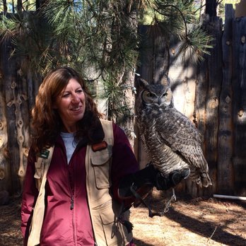 Bearizona - Darla and George the great horned owl! - Zoos Near Me - Williams, Arizona