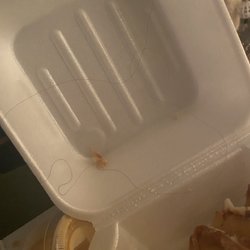 Chicot Hibachi Express - Hair in food