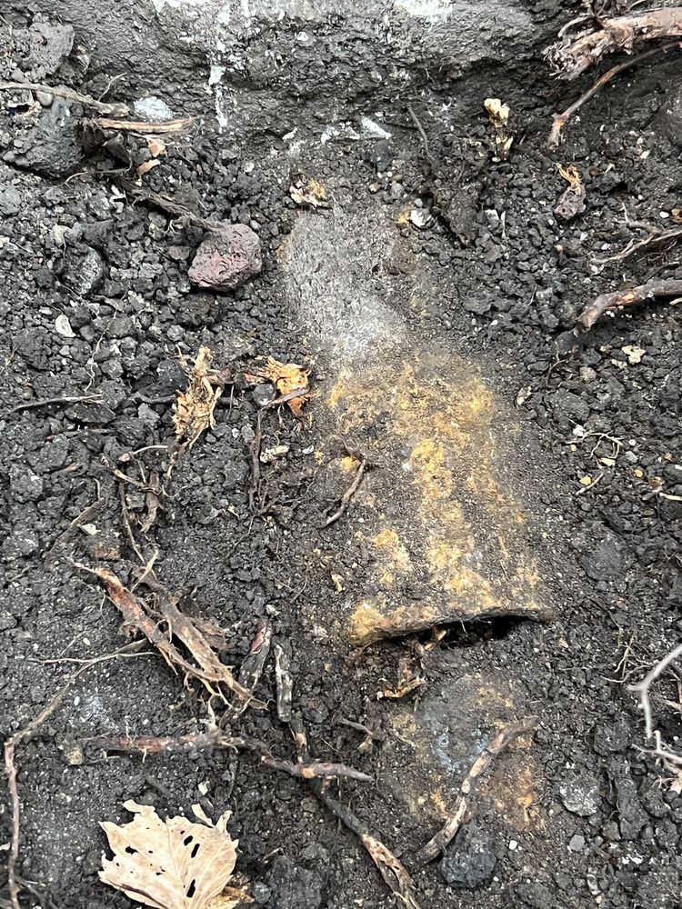 Plumbing 123 - septic in Chicago, IL