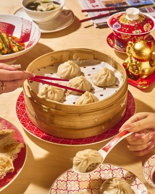 Sammi & Soupe Dumpling by null