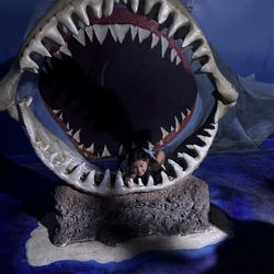 SeaQuest - Las Vegas - Shark attack