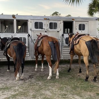 The Rockin M Ranch - Waiting to load up after ride. - Horseback Riding Near Me The Rockin M Ranch - Waiting to load up after ride. - Horseback Riding Near Me