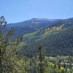 Twin Lakes