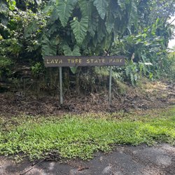 Lava Tree State Park