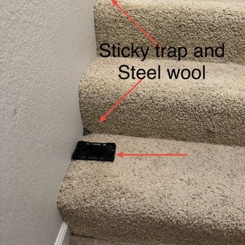 Montessa at Whitney Ranch - Steel wool everywhere - prior to carpet removal and "sealing" with spray foam and concrete - Apartments Near Me - Rocklin, California