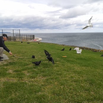 Greystones Beach - Beaches Near Me - Greystones, WW Greystones Beach - Beaches Near Me - Greystones, WW