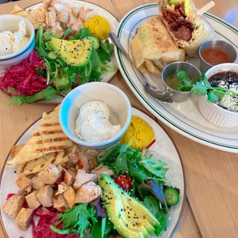 Madi - Mediterranean breakfast with chicken x2, and a breakfast burrito - Breakfast & Brunch Near Me - San Diego, California Madi - Mediterranean breakfast with chicken x2, and a breakfast burrito - Breakfast & Brunch Near Me - San Diego, California