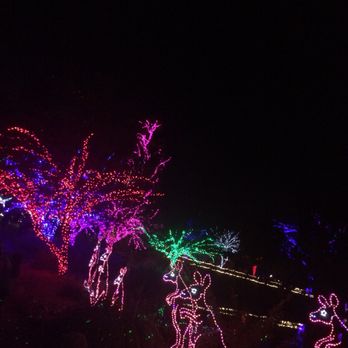 Zoolights - Zoos Near Me - Phoenix, Arizona