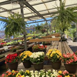 SummerWinds Nursery - Palo Alto