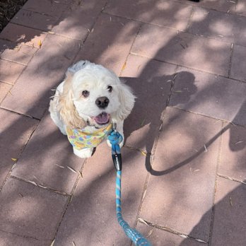 Petrichor Pet Salon - Pet Groomers Near Me - Irvine, California