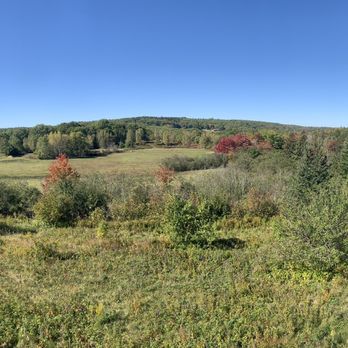 Roaring Lion Farm - Farms Near Me - Sedgwick, Maine Roaring Lion Farm - Farms Near Me - Sedgwick, Maine