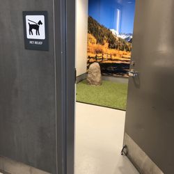 Terminal C - Denver International Airport - Pet potty area between Gates C62 & C63 with astroturf, water hose, & natural backdrop