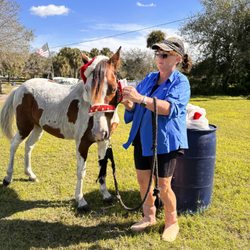 HWLM Horsemanship Youth Mentorship Program  - Merry Christmas photos
