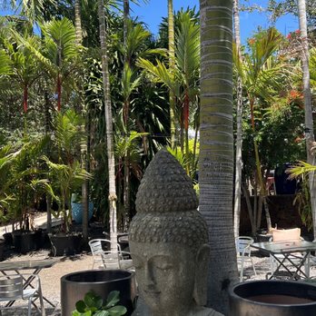 Kitoko Maui - Outdoor seating is fabulous - Food Trucks Near Me - Kihei, Hawaii Kitoko Maui - Outdoor seating is fabulous - Food Trucks Near Me - Kihei, Hawaii