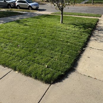 Sota Landscaping - New sod! - Landscaping Near Me Sota Landscaping - New sod! - Landscaping Near Me