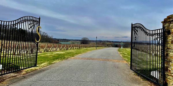 Shelton Vineyards by null