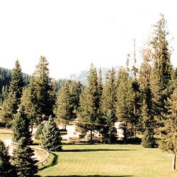 Silver Creek Plunge Resort