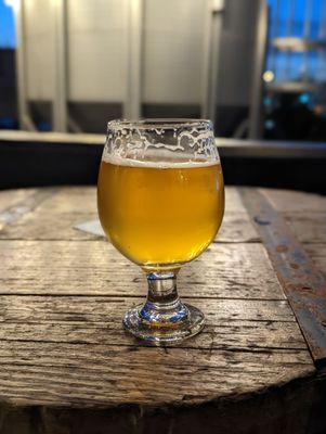 Speakeasy Ales & Lagers by null