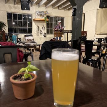 Sweetbay Brewing - a glass of beer and a potted plant - Breweries Near Me - Abingdon, Virginia Sweetbay Brewing - a glass of beer and a potted plant - Breweries Near Me - Abingdon, Virginia