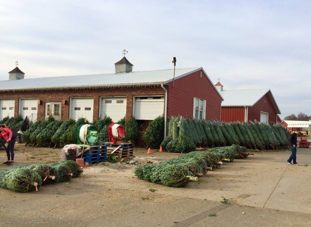 Gasko S Family Farms 74 Photos 116 Reviews 112 Federal Rd Monroe Township Nj United States Phone Number Yelp 112 Federal Rd Monroe Township Nj