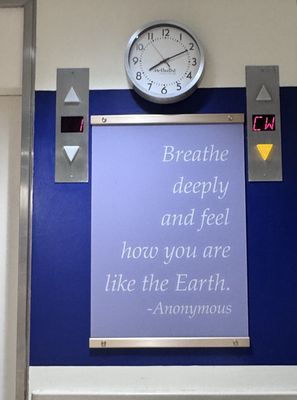 Houston Methodist Hospital by null