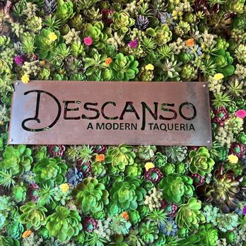 Descanso - The cutest succulent wall - Mexican Near Me - Costa Mesa, California Descanso - The cutest succulent wall - Mexican Near Me - Costa Mesa, California