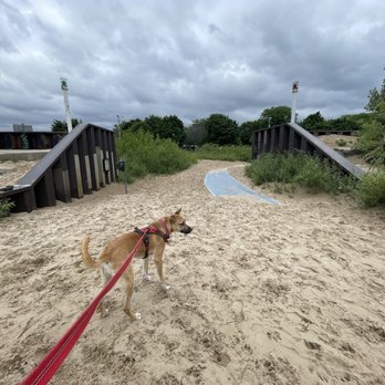 Montrose Dog Beach - Dog Parks Near Me - Chicago, Illinois