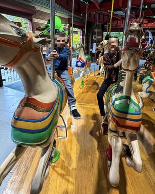 Central Park Carousel by null