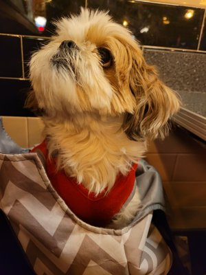 Portillo's Elgin by null