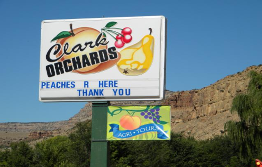 Clark Family Orchards by null