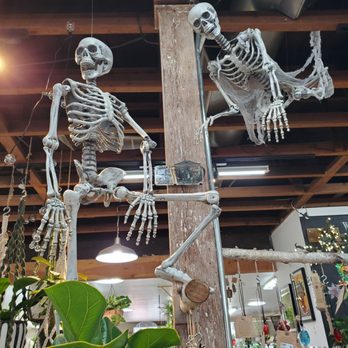 Potted - Home Decor Near Me - Los Angeles, California
