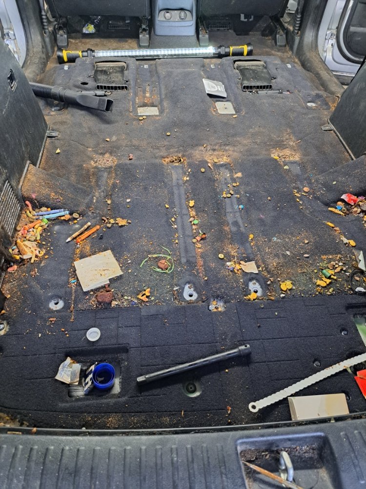 CASTILLO AUTO DETAILING Updated May 2024 Request a Quote 15 St, Lowell