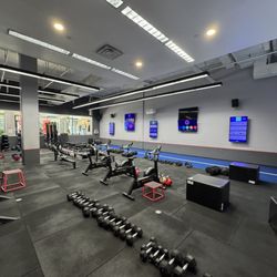 F45 Training Domain Austin