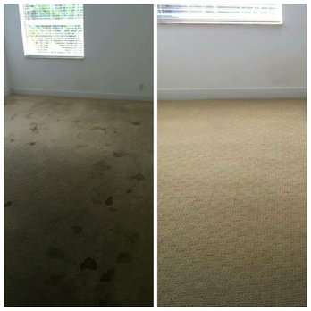 Premier Chem-Dry - Carpet - Before & After! - Carpet Cleaning Near Me - Pompano Beach, Florida Premier Chem-Dry - Carpet - Before & After! - Carpet Cleaning Near Me - Pompano Beach, Florida