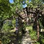 Photo of Behind The Iron Gates