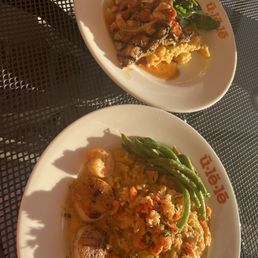 Scallop risotto, grilled chicken