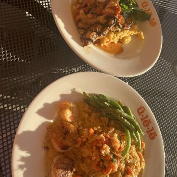 Ulele Bar - Scallop risotto, grilled chicken - Bars Near Me - Tampa, Florida