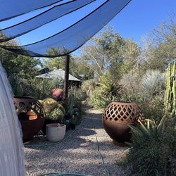 Plants For the Southwest