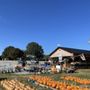 Fryes Creek Family Farm