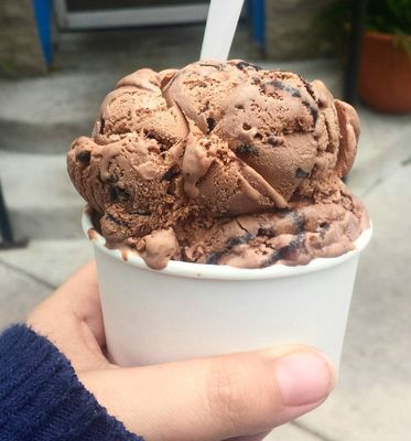 Washtenaw Dairy by null