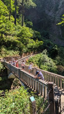 Multnomah Falls by null Multnomah Falls by null