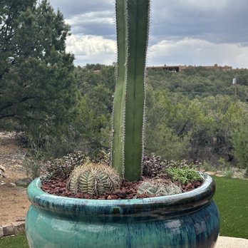 Sabo - Gorgeous - Home Decor Near Me - Santa Fe, New Mexico Sabo - Gorgeous - Home Decor Near Me - Santa Fe, New Mexico