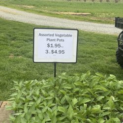 Glen Willow Orchards