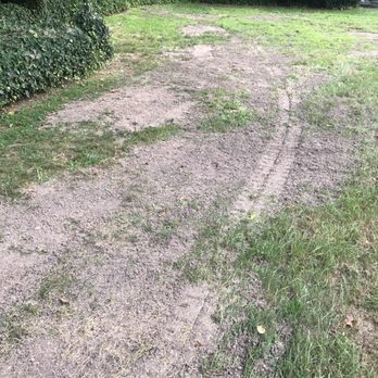 See Clear Tree & Property Services - Tree Services Near Me - Clayton, New Jersey See Clear Tree & Property Services - Tree Services Near Me - Clayton, New Jersey