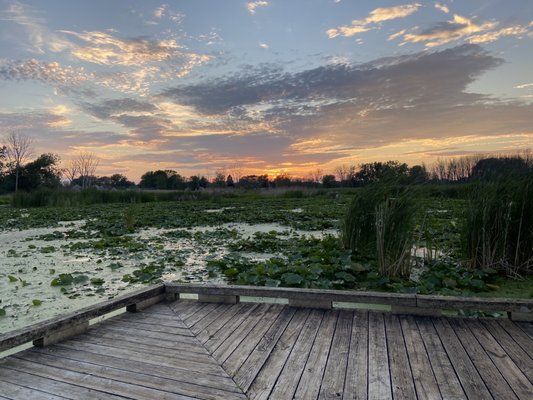 Lake Saint Clair Metropark by null