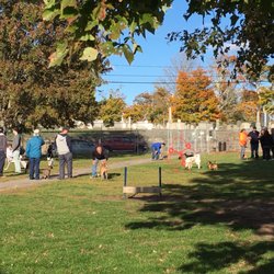 Fall River Dog Park - Halloween day in the Fall River dog park