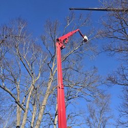 Sidonian Tree Service